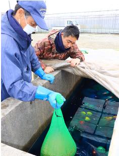 浸種作業で今年の米作り始動