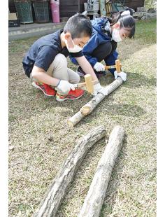 大きくなれ、シイタケ植菌