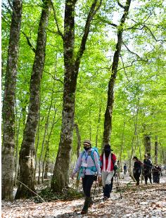 藤里駒ケ岳が山開き