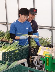 今年度も八峰町で「半農半Ｘ」が行われ、名古屋市の男性が農業を体験