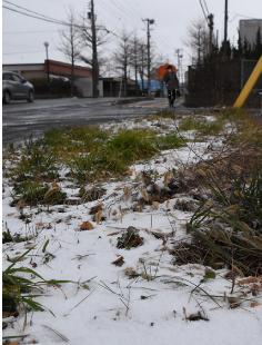 あちこちで雪が積もり、冬らしさが感じられた能代山本地方（能代市御指南町で）