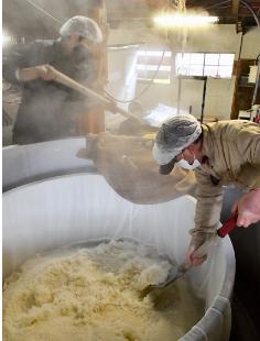 湯気が立ち込める中、丁寧に酒造りを進める蔵人たち（能代市万町の喜久水酒造で）