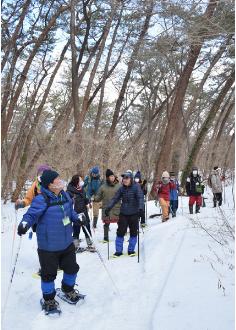 雪に覆われた風の松原を歩き、冬の森林浴を楽しむ一行