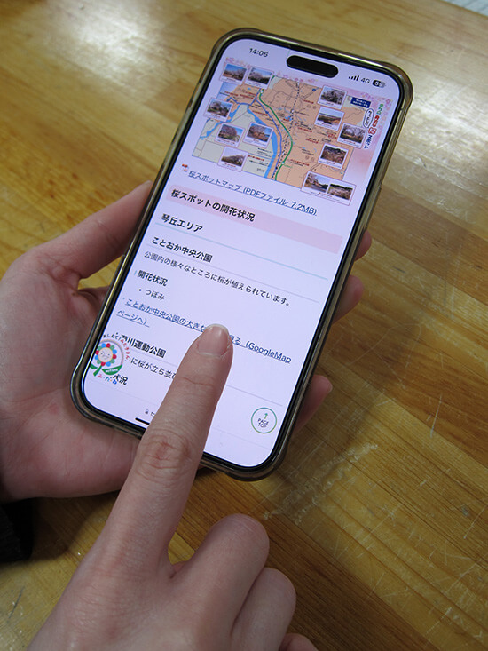 三種町が桜の開花状況を独自に公開