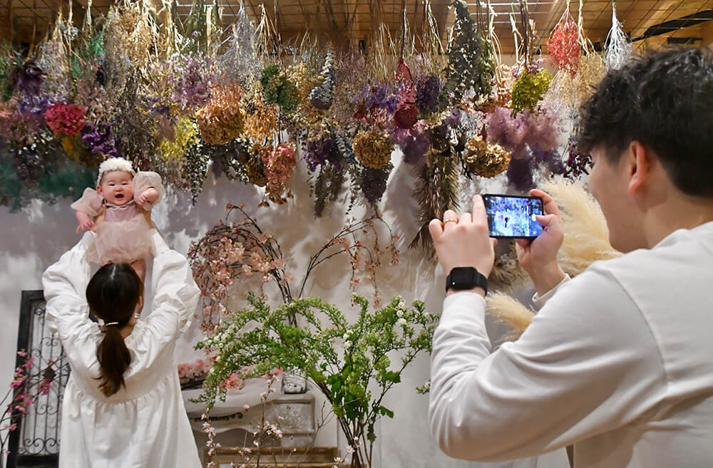 花に囲まれたスタジオでセルフ撮影を楽しむ家族（能代市昇平岱の花まりで）