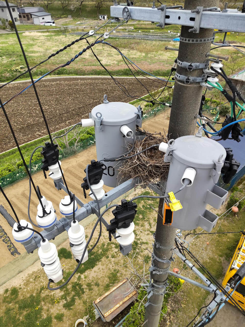 電柱に作られたカラスの巣（４月24日・能代市二ツ井町字上野地内で、同社秋田支社提供）