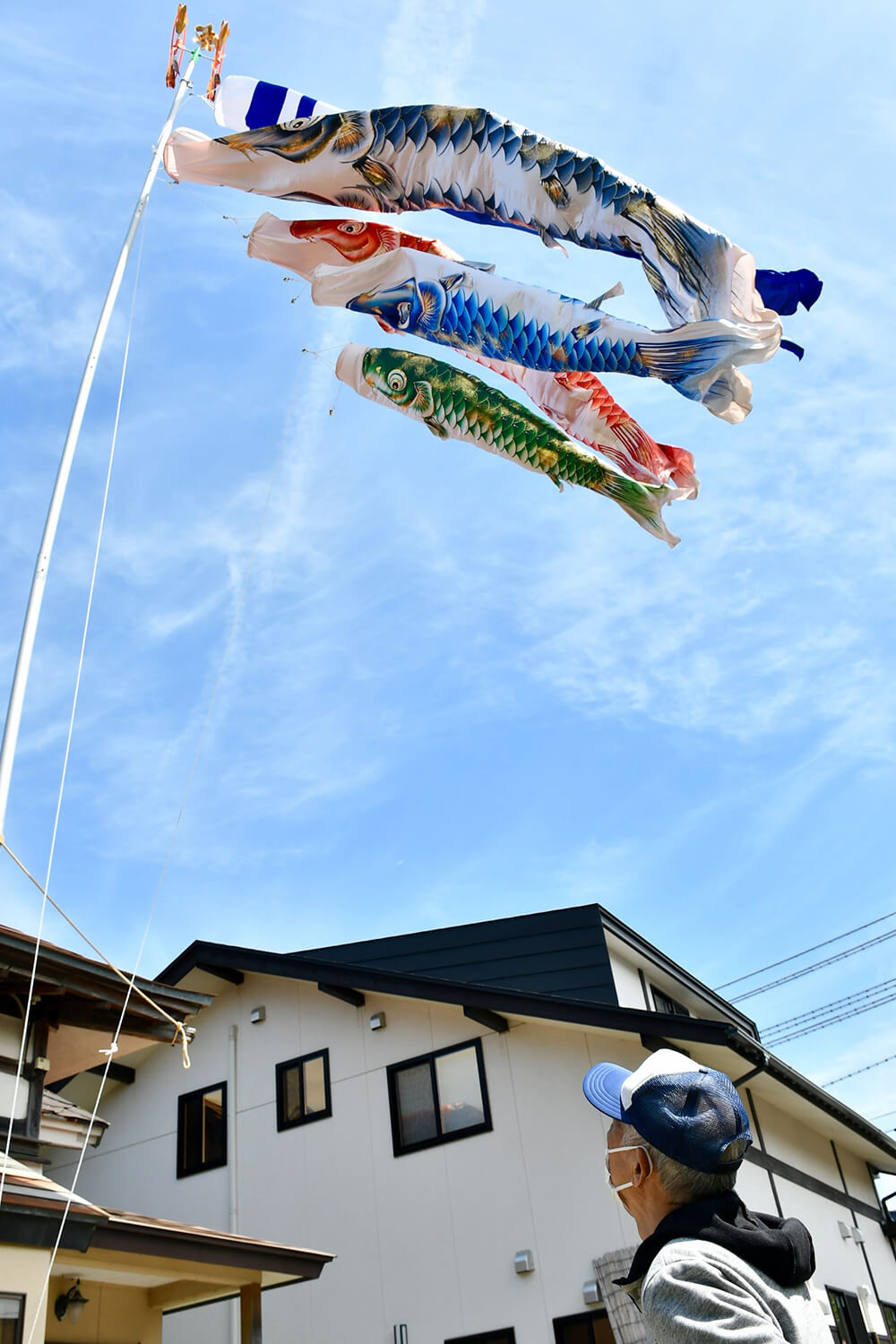 青空を悠々と泳ぐ川村さん方のこいのぼり（三種町鹿渡で）