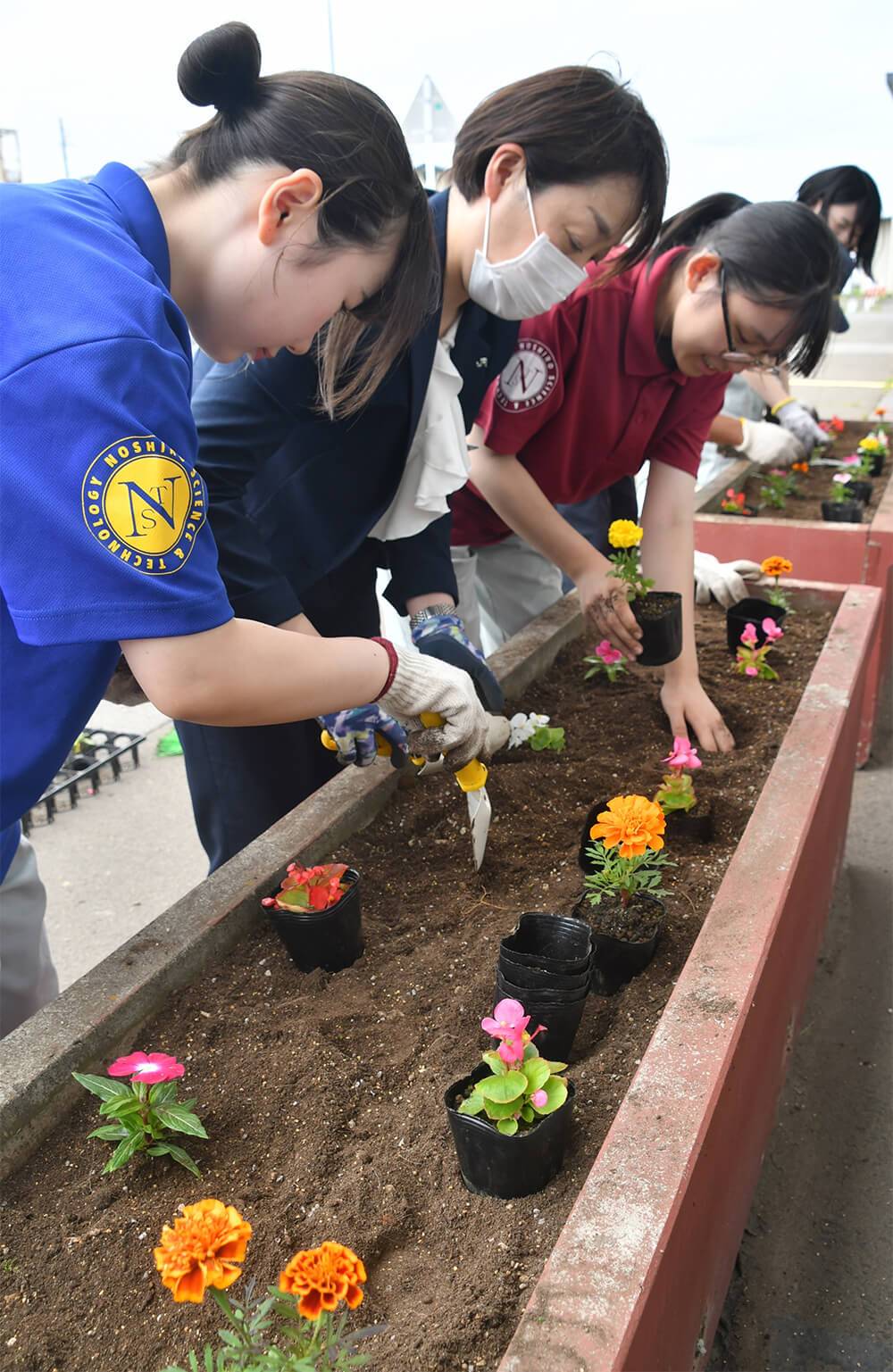 能代科技高の生徒がＪＲ東能代駅のプランターに職員と一緒に花を植栽