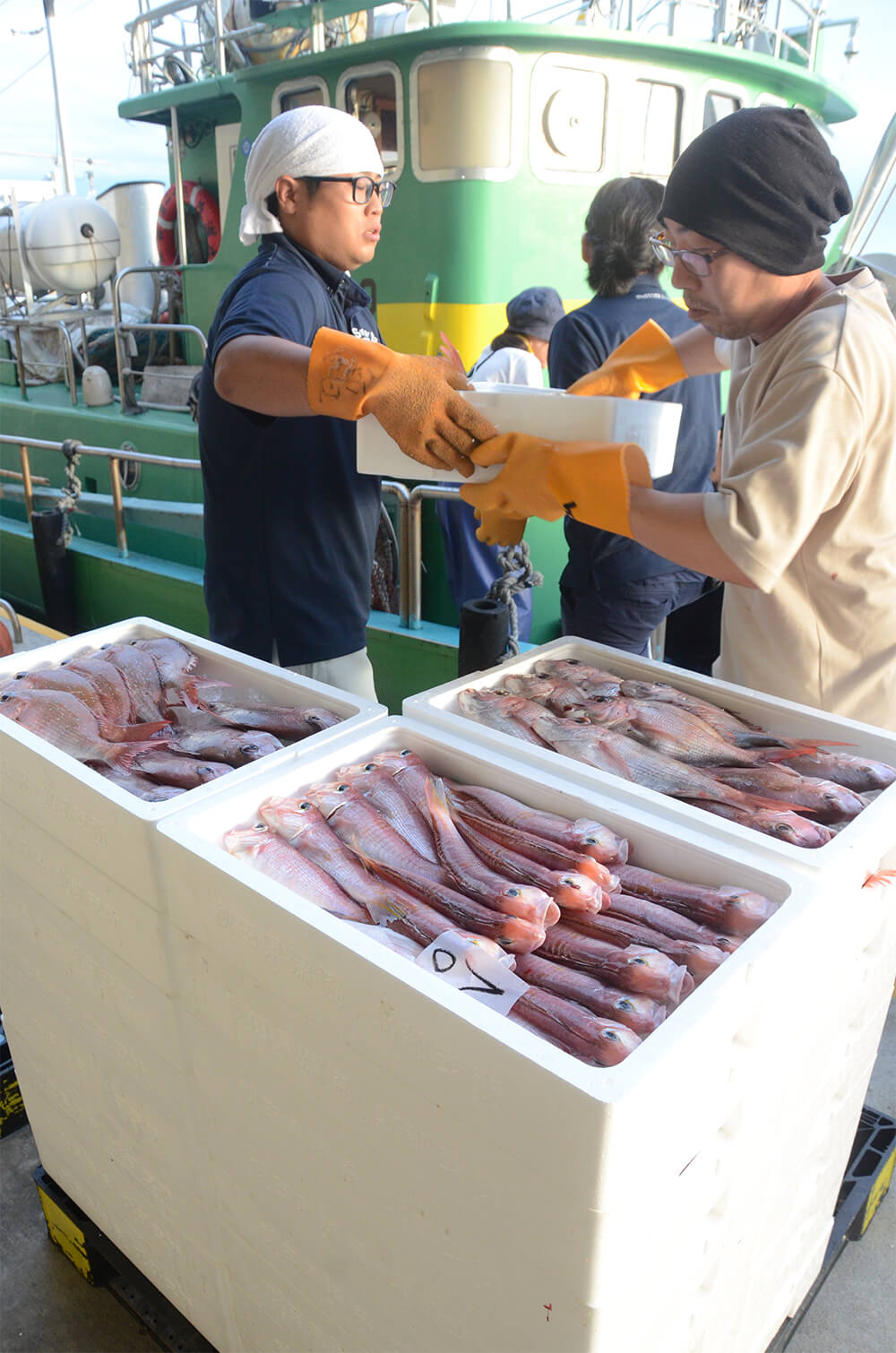 水揚げされた魚が漁船から続々と荷降ろしされた（八峰町の八森漁港で）