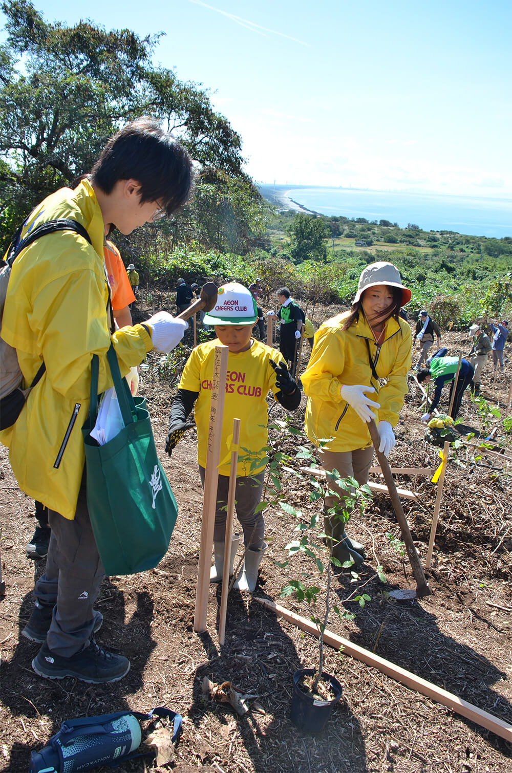 豊かな森になるよう願いを込めてブナの苗木を植樹（八峰町八森で）