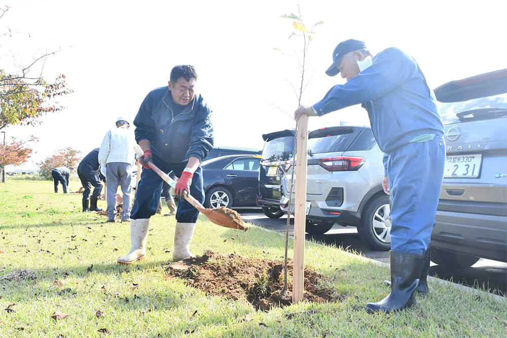 ミヤビザクラの苗を植える参加者（能代市の赤沼公園で）