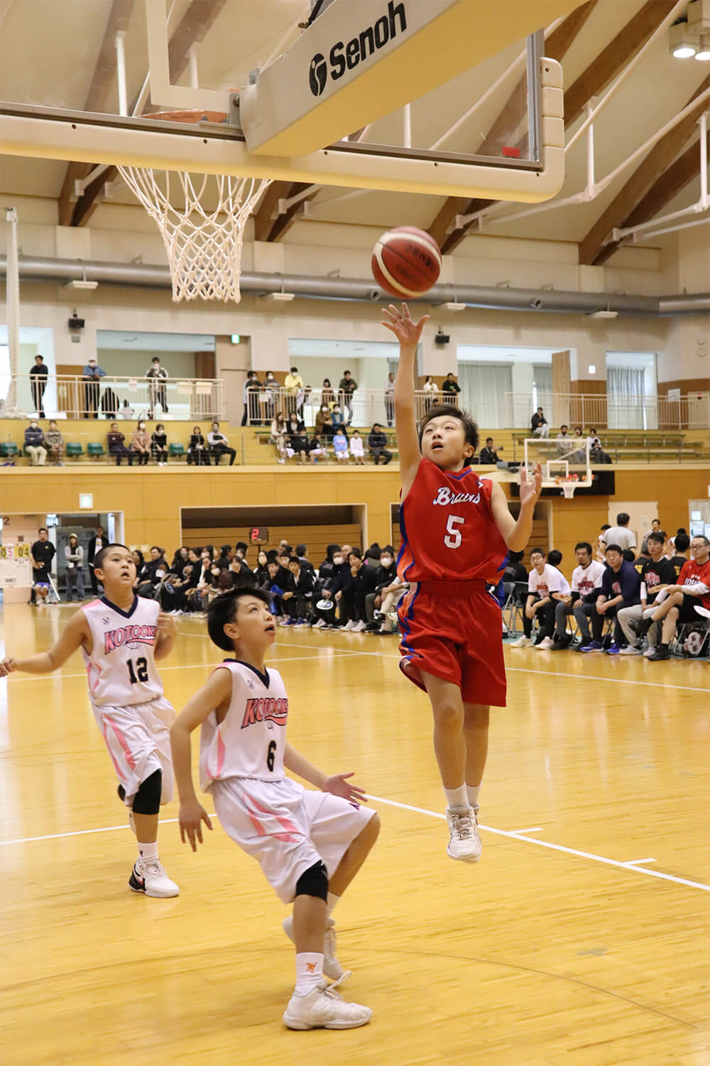 男子は能代ブルーインズが決勝リーグ全勝で優勝