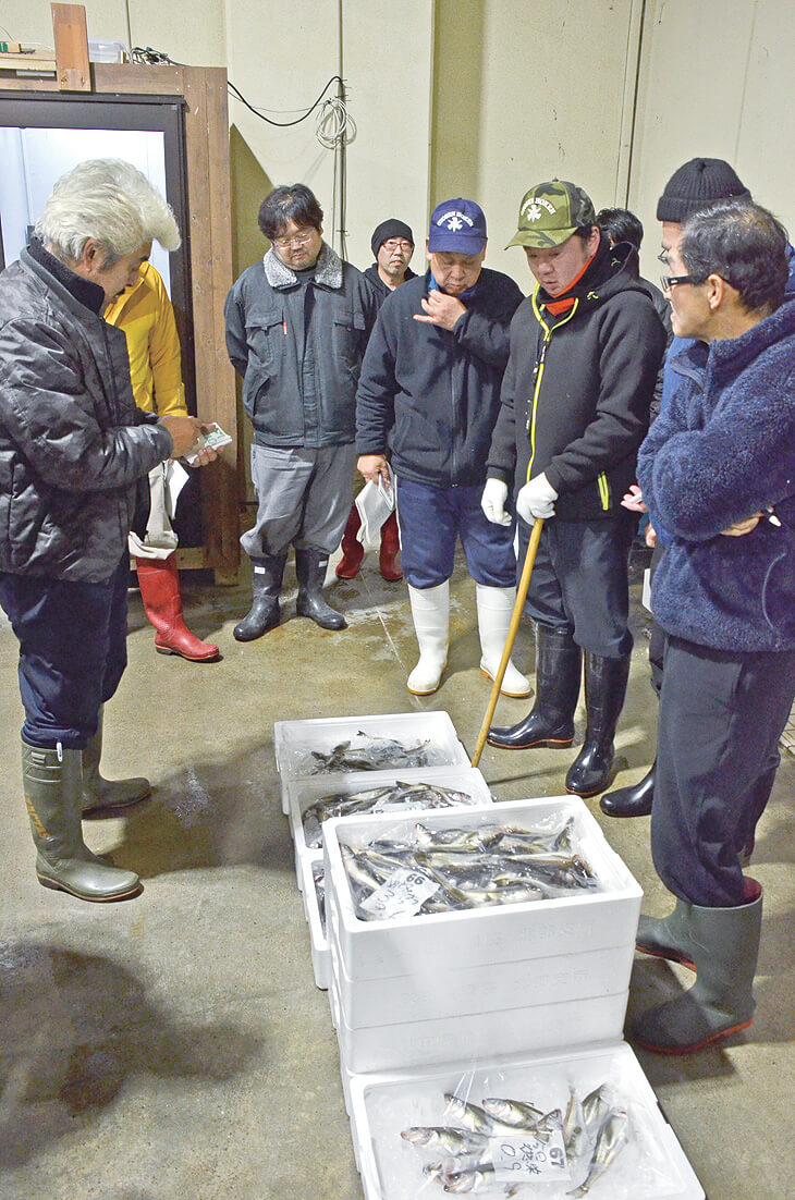 県漁協北部支所管内の季節ハタハタ漁は19日に競りを行い、禁漁明け以降最遅の初漁（八峰町の八森漁港荷さばき所で）