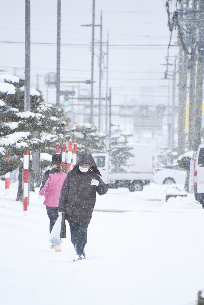 続的にふぶいた能代山本地方（能代市寿域長根で）